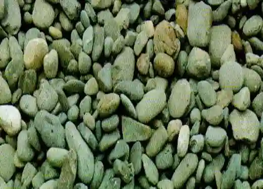 Batu Koral